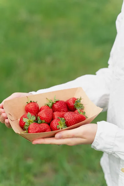 Holding Strawberry Hand Strawberries Disposable Eco Plate Green Background Seasonal — Stock Photo, Image