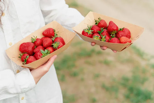 Strawberry Disposable Eco Plate Woman Hands Green Background — Stock Photo, Image