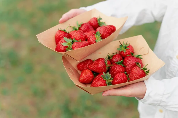 Strawberry Disposable Eco Plate Woman Hands Green Background — Stock Photo, Image