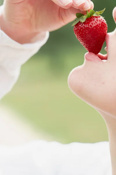 Woman Enjoy Strawberry Close Kisses Tastes Strawberry Seasonal Berry — Stock Photo, Image