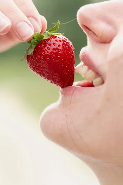 Mujer Disfruta Fresa Cerca Besos Sabores Fresa Baya Estacional —  Fotos de Stock