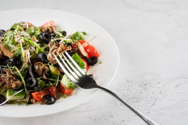 Beyaz arka planda salyangoz salyangozlu yeşil salata. Fransız gurme mutfağı