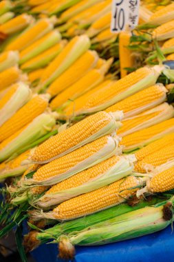 Mısır Türk pazarında satılıyor. Çiğ mısırla karşılık ver