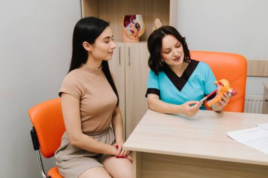 Jinekolog, üreme sistemini tıbbi konsültasyon sırasında anatomik rahim modeli kullanarak açıklıyor. Jinekolojik ziyaret kadınları doğurganlık, sağlık ve önleme konusunda eğitir.