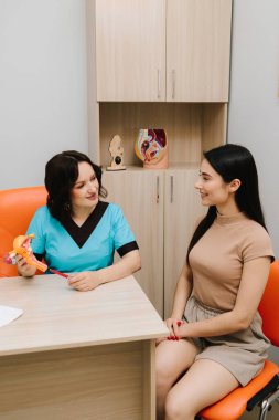 Jinekolog, üreme sistemini tıbbi konsültasyon sırasında anatomik rahim modeli kullanarak açıklıyor. Jinekolojik ziyaret kadınları doğurganlık, sağlık ve önleme konusunda eğitir