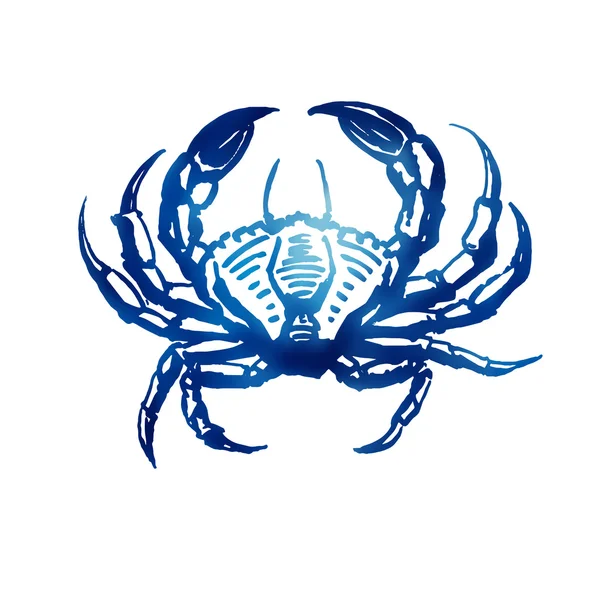 Croquis vectoriel du crabe . — Image vectorielle