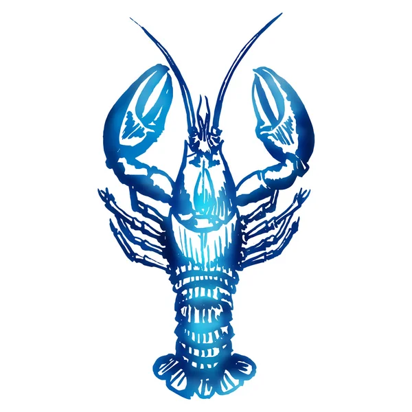 Sketsa Vektor lobster . - Stok Vektor