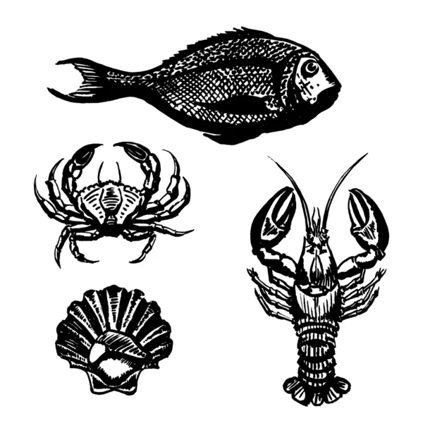 Set vettoriale di Sketch Sea Food — Vettoriale Stock