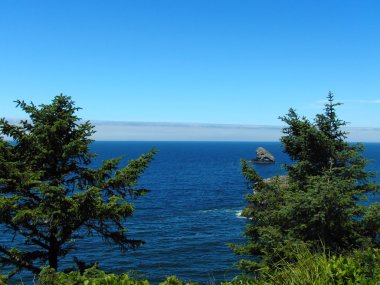 Pasifik Okyanusu kıyısı