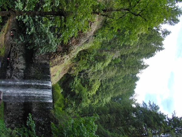 Cachoeira na floresta de montanhas — Fotografia de Stock