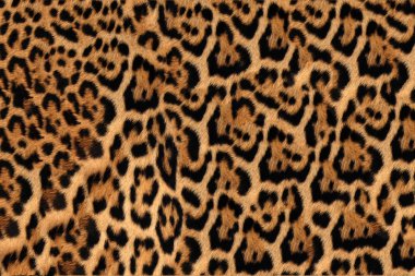 Jaguar, leopar ve Leopar deri dokusunun