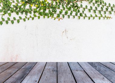 Yeşil yapraklı ahşap zemin ve beyaz duvar görünümü, metin için boş kopya alanı olan arkaplan, 