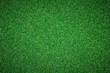 yeşil çimen dokusu arkaplanı