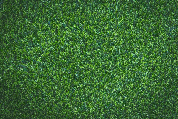 Green Grass Background Texture — Stock Photo, Image