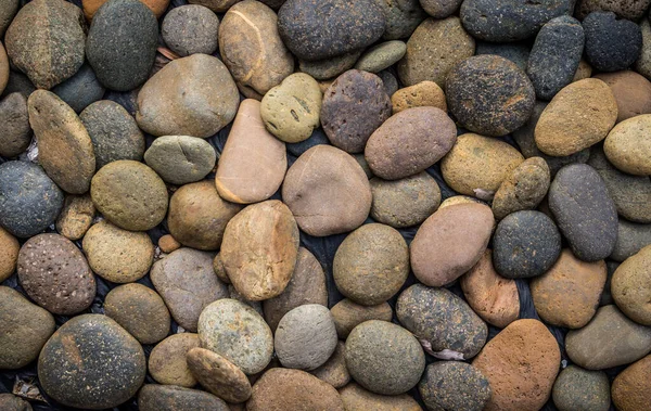 Background Pebbles Sea Stones — Stock Photo, Image