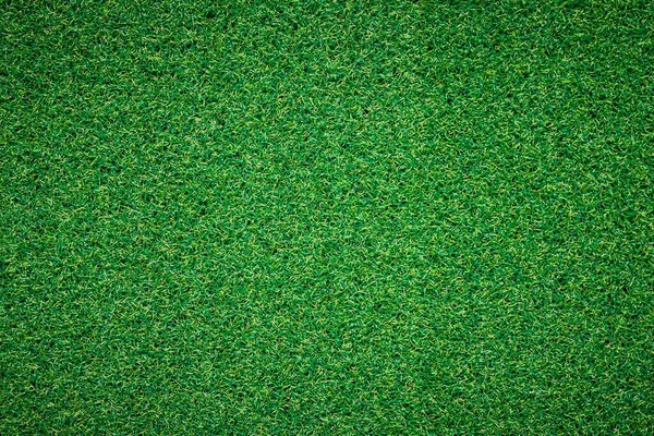 Top View Green Fresh Grass Field — Stock Photo, Image