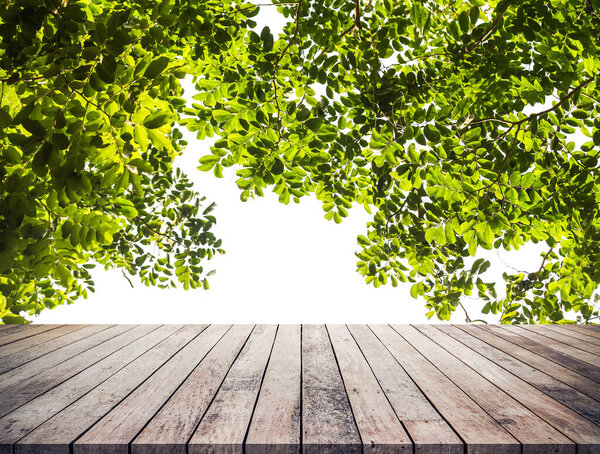 деревянный пол с пустым местом для копирования текста и листьев дерева, природный фон