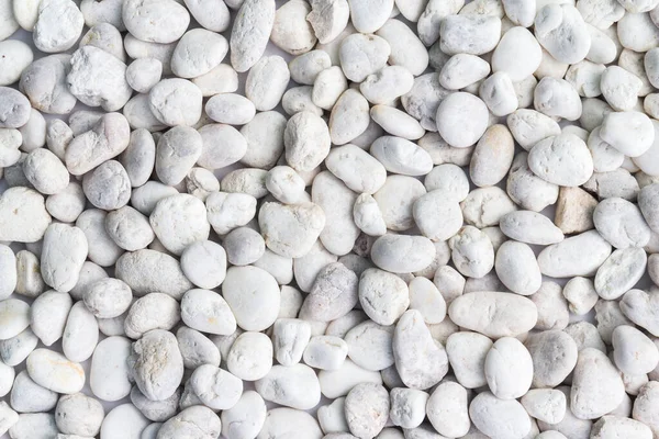 Sea Pebbles Shape Stones Background — Stock Photo, Image