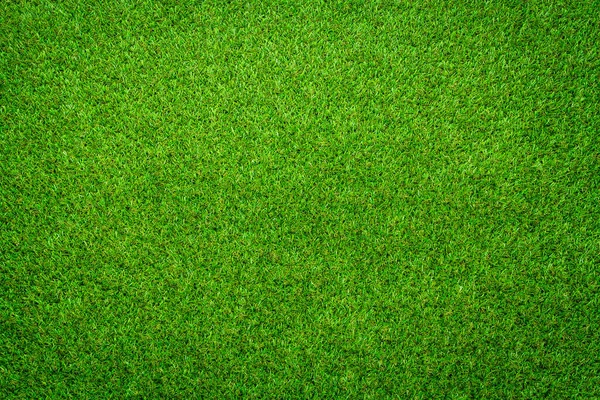 Groen Gras Achtergrond Abstract — Stockfoto