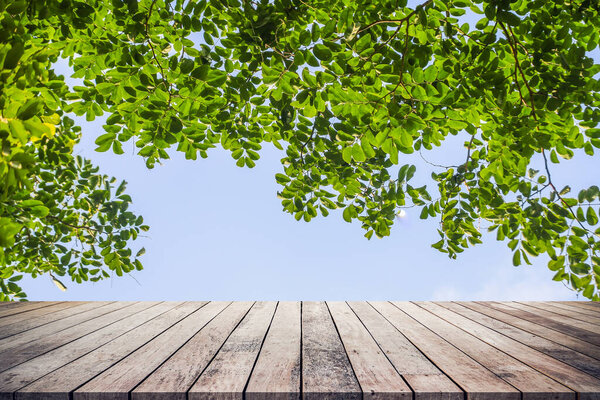 деревянный пол с небом и листьями дерева, природный фон