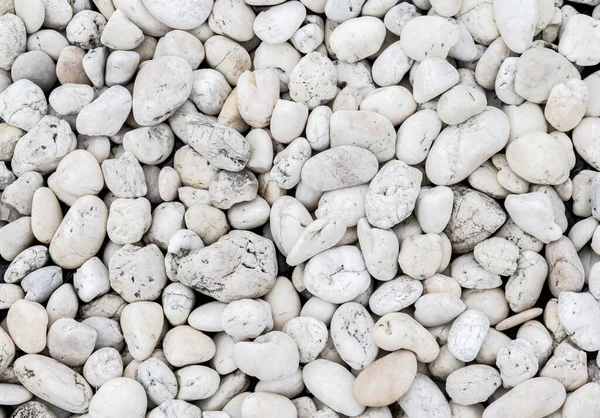 Background White Sea Pebbles — Stock Photo, Image