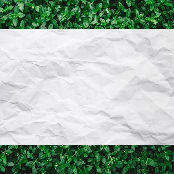 Зелений Зім Ятий Паперовий Фон Абстрактна Текстура Старого — стокове фото