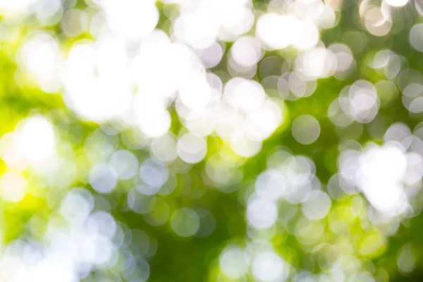 Abstract Blur Green Bokeh Nature Background — Stock Photo, Image