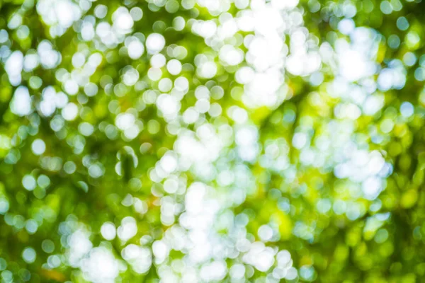 Abstract Green Bokeh Background — Stock Photo, Image