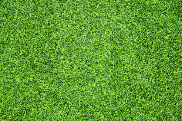 Green Grass Texture Background — Stock Photo, Image