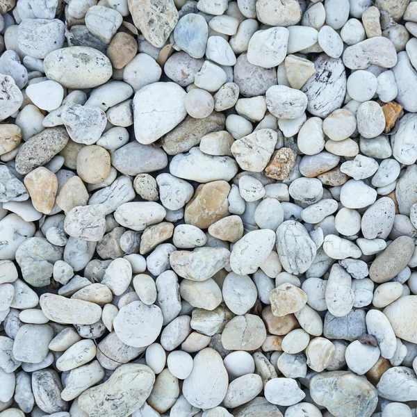 White Sea Pebbles Stone Texture Background — Stock Photo, Image