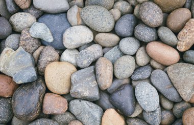 Sahilde deniz taşları