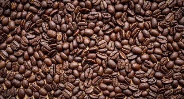 Kávébab Háttér Textúra — Stock Fotó