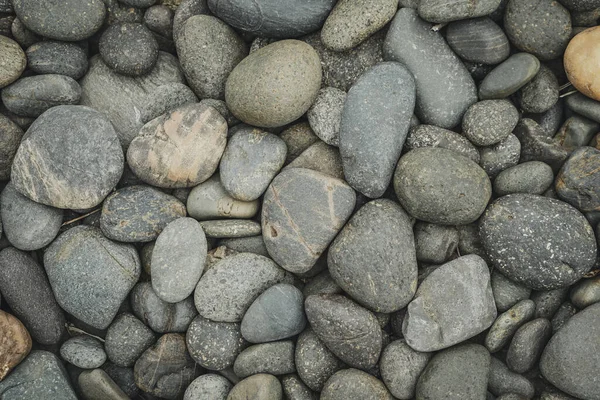 鹅卵石和海石的背景 — 图库照片
