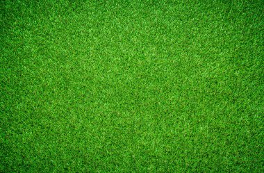 yeşil çimen dokusu arkaplanı