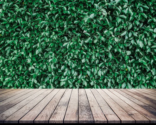 緑の木のテーブルの上と背景をぼかす — ストック写真