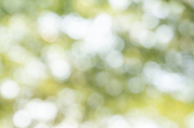 yeşil bokeh soyut arkaplan