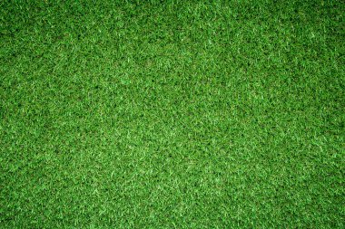 yeşil çimen dokusu arkaplanı