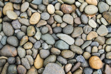 Çakıl taşları arka plan ve doku