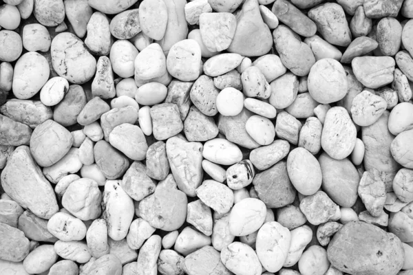 Seixos Brancos Pedras Fundo Textura — Fotografia de Stock