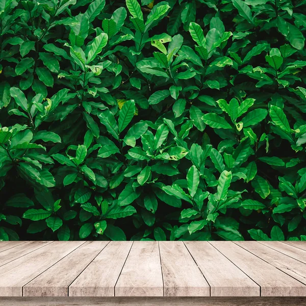 带天然绿色常春藤背景的木制木板 用于产品展示 — 图库照片