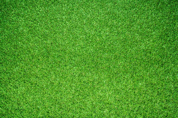 Green Grass Texture Background — Stock Photo, Image