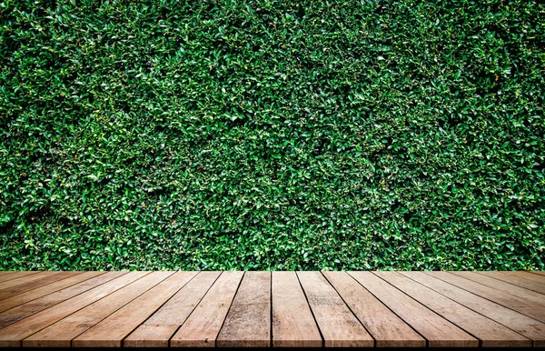 Tablón Madera Con Fondo Hiedra Verde Natural Abstracto Para Exhibición — Foto de Stock