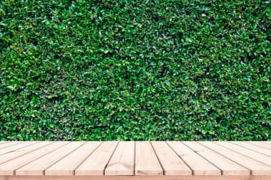 Ürün görüntüleme montajı ya da ürünlerinizi eklemek için kopyalama alanı olan boş yeşil tahta masa üstü görünümü