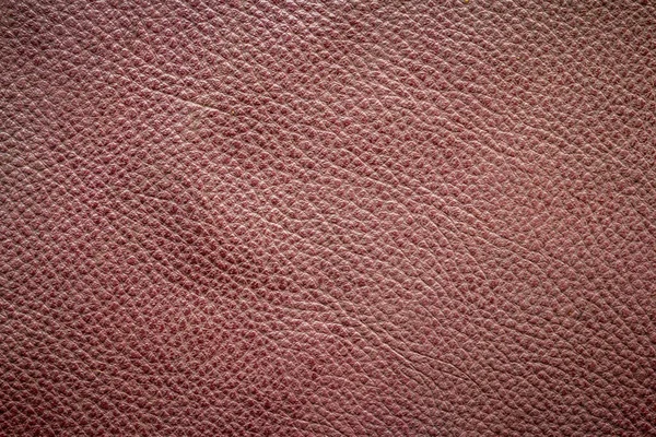 Cuir Marron Texture Fond — Photo