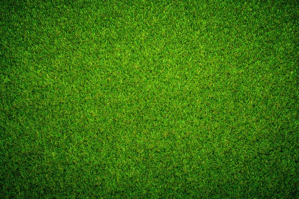 Hierba Verde Textura Fondo — Foto de Stock