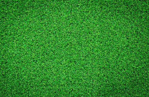 Vert Herbe Texture Fond — Photo