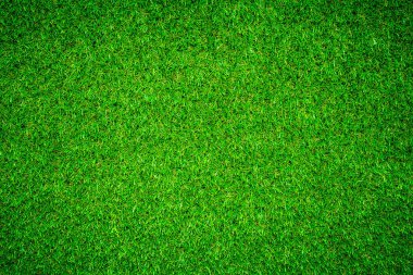 yeşil çimen dokusu arkaplanı