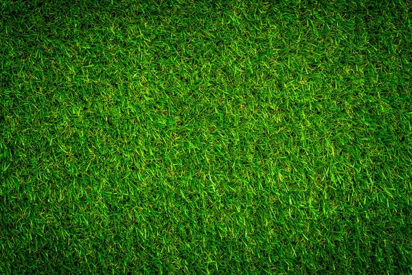 Grama Verde Textura Fundo — Fotografia de Stock