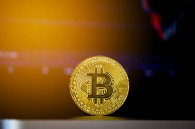 Dizüstü bilgisayardaki bitcoin. şifreleme para birimi kavramı.