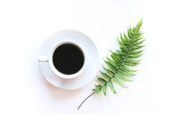 Чашка Кофе Зеленый Лист Белом Фоне — стоковое фото